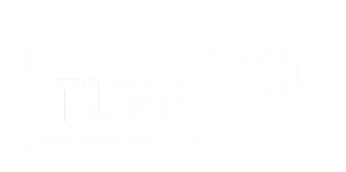 Ajuntament de l'Aldea